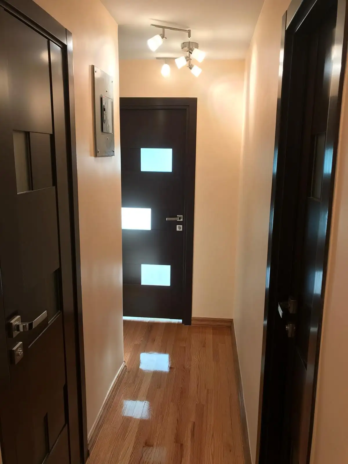 Hallway with modern wenge doors — Brighton Beach, Brooklyn