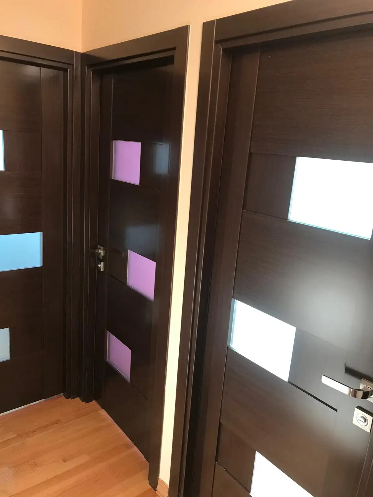 Modern interior doors with frosted glass — Brighton Beach, Brooklyn